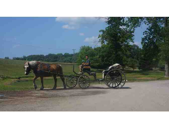 1 night couples getaway @ luxurious Serenity Springs Michigan City, 4.5 star + MORE!