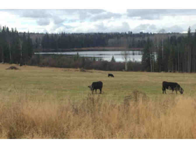 7 Night Stay at Cowboy Dude Ranch British Columbia ALL INCLUSIVE for 4! Value $3500