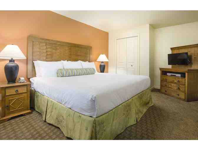 Enjoy 4 nights LUXURY Tropicana Studio Resort Las Vegas + $100 FOOD