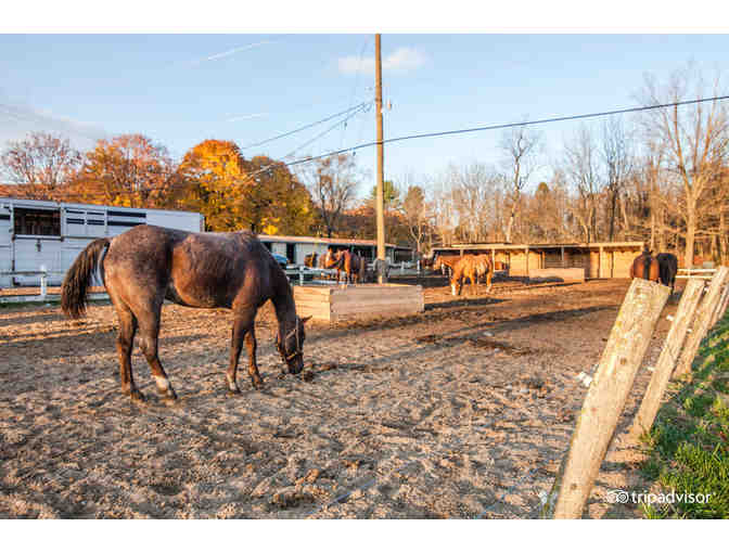 Enjoy 7 nights @ 4 star The Villas At Tree Tops 2 bed Bushkill, PA + $100 FOOD Credit