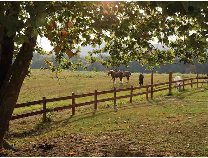 Enjoy 7 nights @ 4 star Wyndham Fairfield Glade Tennesse + $100 FOOD