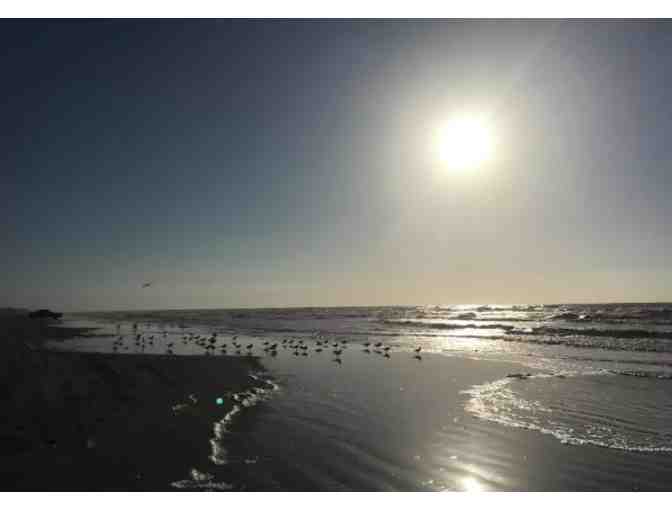 Enjoy 7 nights LUXURY Crystal Beach Galveston, TX Beach House 5 star reviews + $200 FOOD