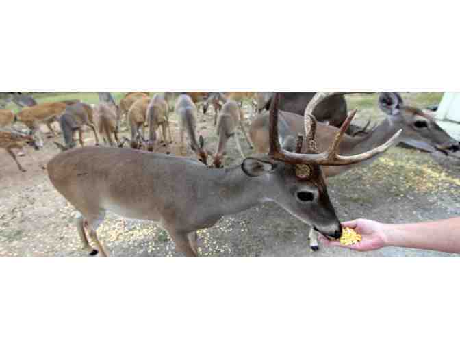 Enjoy 7 nights @ The Shores At Lake Travis 2 bed Lago Vista, Texas + $100 FOOD CREDIT