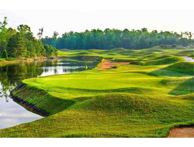 Enjoy a twosome GOLF ROUND Barefoot Resort and Golf- Norman, Love, Fazio + $200 FOOD