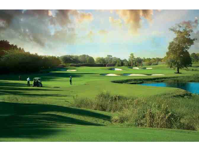 Enjoy Golf for 4 @ Barefoot Resort - Norman, Love, Fazio Resort Myrtle Beach + $100 Food C