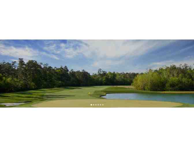 Enjoy Golf for 4 @ Golf Club of Houston Tournament Course Humble,TX + $100