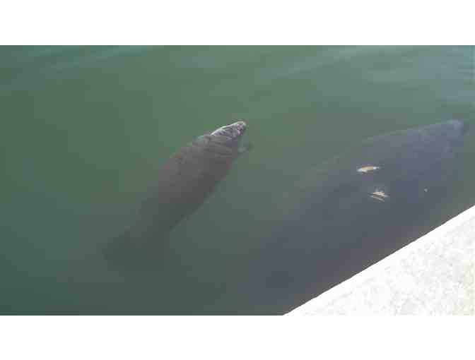 Enjoy passes for 2 to Space Coast River Tours in Cape Canaviral, FL+MORE