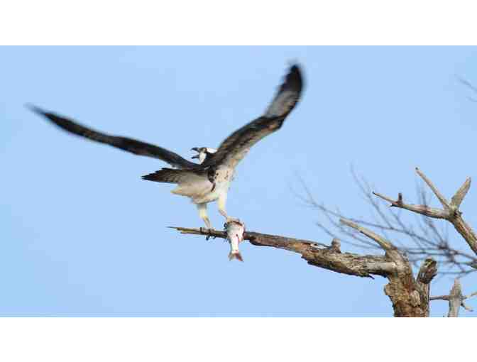 Enjoy passes for 2 to Space Coast River Tours in Cape Canaviral, FL+MORE