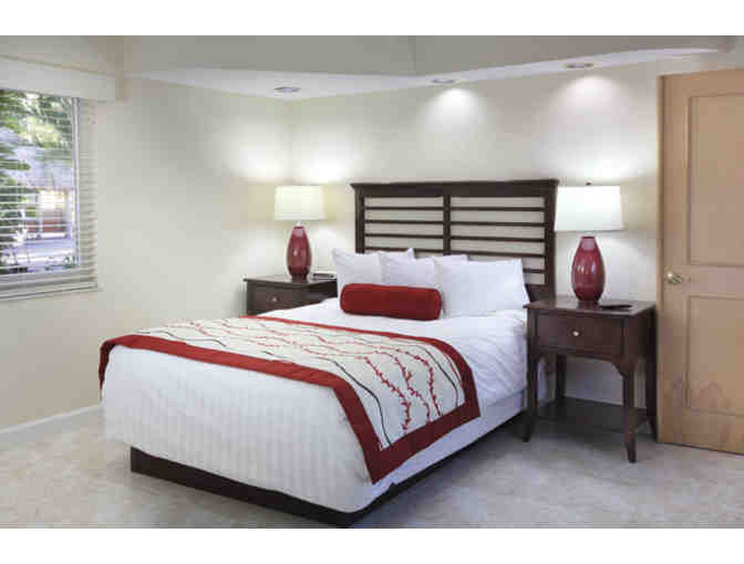 South Florida & Miami Luxury 3 night Condo Stay/Sail/Eat Package! 4.5 STAR Rated