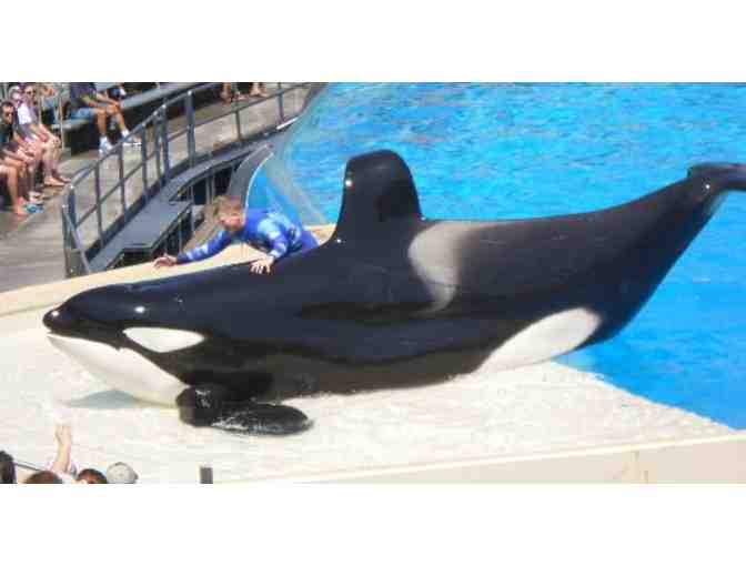 Enjoy 4 tickets to Seaworld San Diego Value $91.99 EACH
