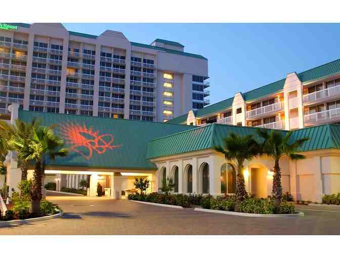 2 night Luxury Surf Lessons + Paddle Board+ Food Adventure Daytona Beach, Fl