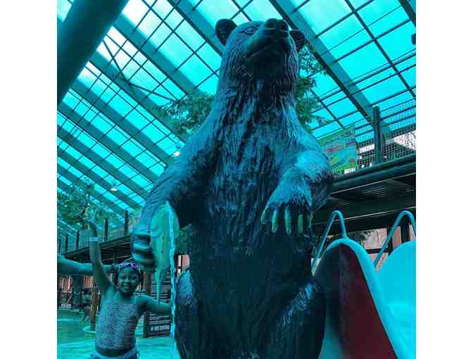 Enjoy 3 nights @ 3 Wild Bear Inn in Gatlinburg, Tennessee + $100 FOOD