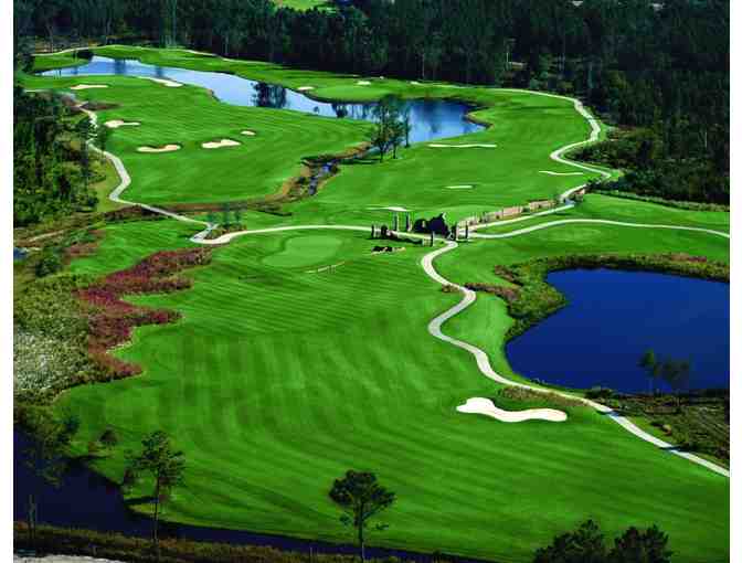 Enjoy Golf for 4 @ Barefoot Resort - Norman, Love, Fazio Resort Myrtle Beach + $100 Food C