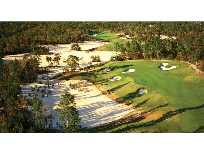 Enjoy a Foursome GOLF ROUND Black Diamond Golf  Lecanto, Fl Tom Fazio Course + $200 FOOD