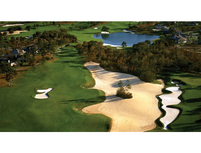 Enjoy a Foursome GOLF ROUND Black Diamond Golf  Lecanto, Fl Tom Fazio Course + $200 FOOD