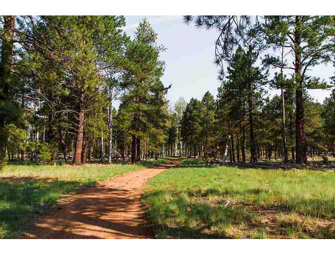 Enjoy 5 nights REMOTE Back Country Yurt Flagstaff, Az + $200 Food Credit