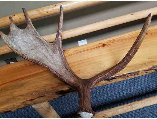 Enjoy 2 ZIP LINE Tours MICA MOON TOUR rated 5 STAR Spokane, WA + $100 FOOD