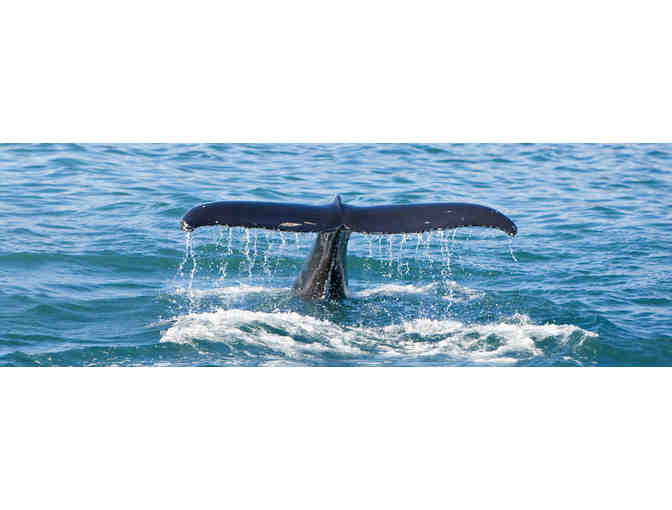 Enjoy 3 nights @ famous 'The Sands Resort',  Hampton Beach, NH  +MORE!!