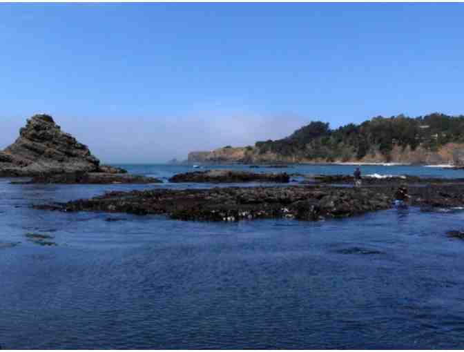 Enjoy 3 night Stay @  The Surf Motel located in Gualala, Northern CA |4 star Inn + FOOD