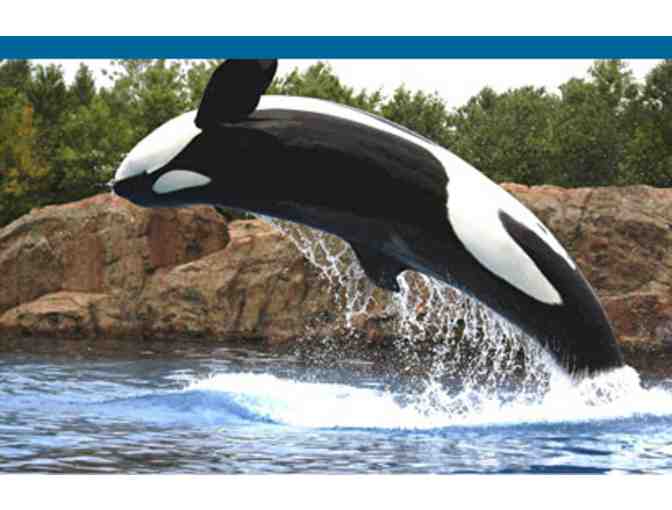 Enjoy 4 nights Luxury Condo GASLAMP downtown San Diegeo + $100 FOOD