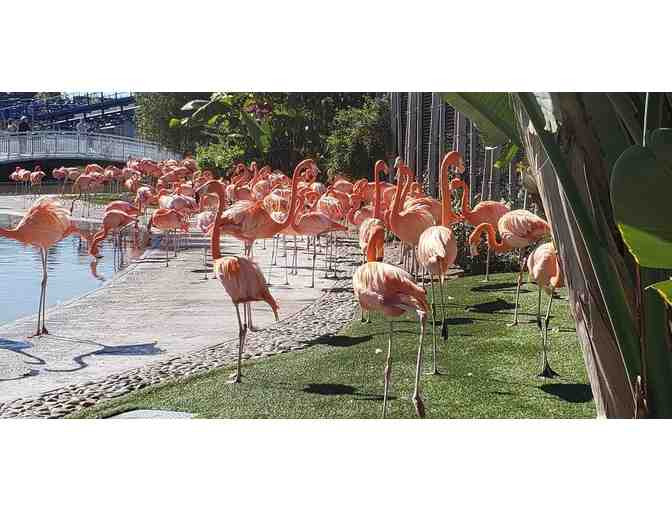 Enjoy 4 tickets to Seaworld San Diego Value $91.99 EACH