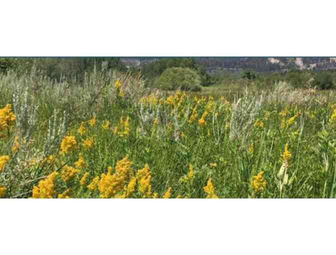 Enjoy 7 nights 3 bed Condo @ Luxurious Snowcreek Resort Mammoth Lakes, Ca