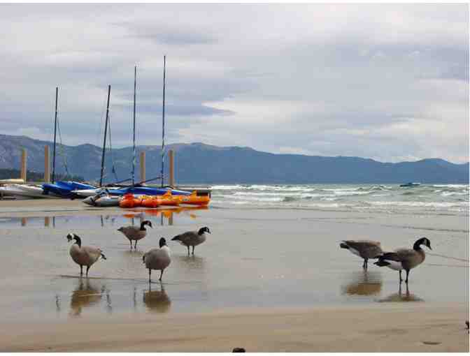 Enjoy 7 nights @ STUNNING 3 bedroom @  Tonopalo - Lakefront Lake Tahoe + $100 FOOD