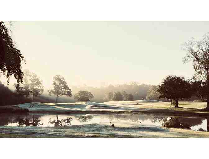 Enjoy a Foursome GOLF ROUND Berkeley Country Club Bay Area, Ca + $200 FOOD