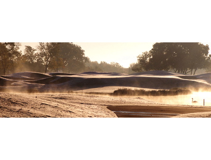 Enjoy Golf for 4 @ Black Hawk Country Club Richmond,TX + $100 FOOD Credit