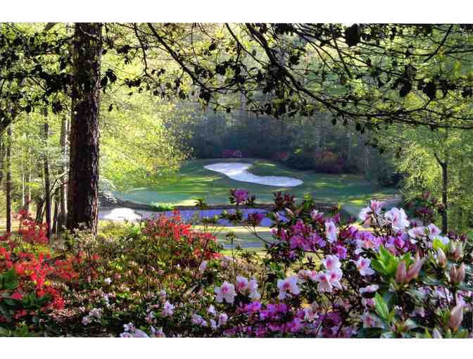 Enjoy Golf for 4 @ Carolina Trace Country Club Sanford, NC + $100 Food Credit