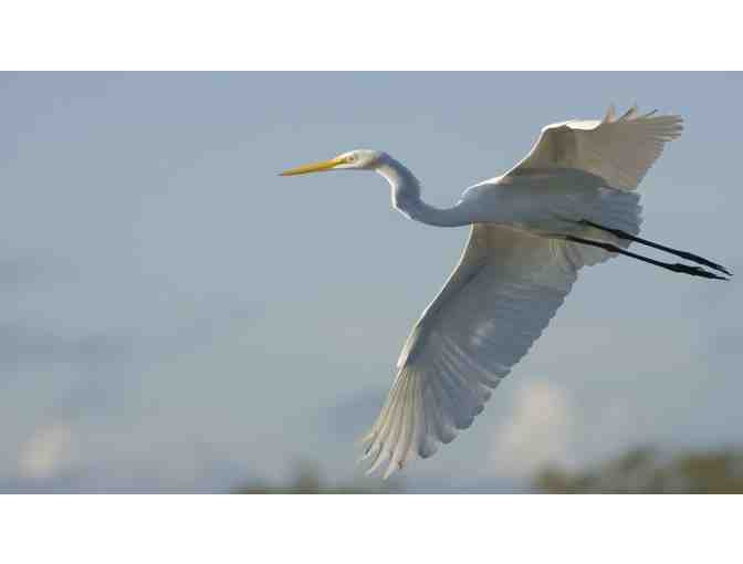 Enjoy passes for 2 to Space Coast River Tours in Cape Canaviral, FL+MORE