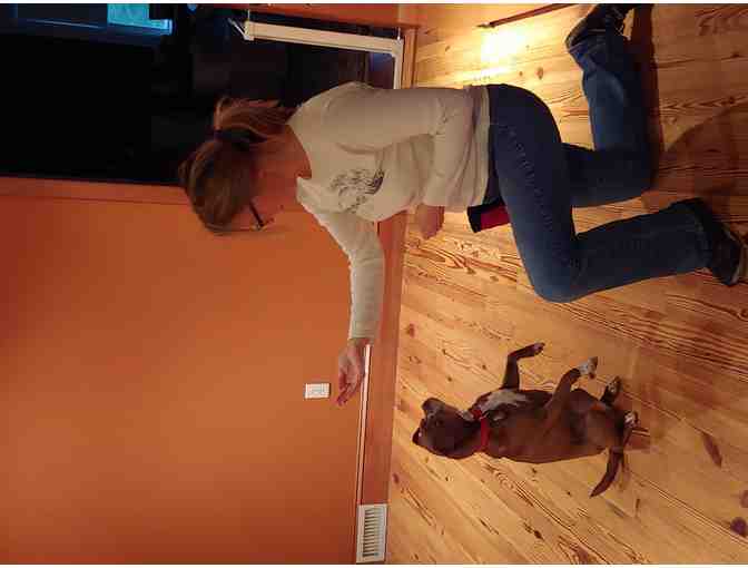 Dog-Training Sessions