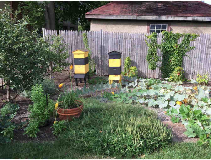 Dinnertime Enchantment Under the Beech Tree for 8 people