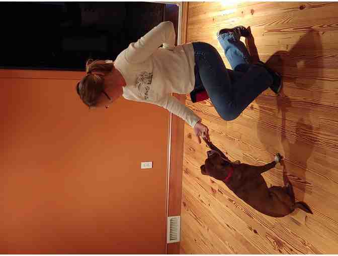 Dog-Training Sessions