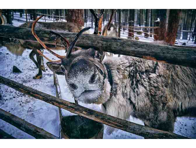 Finnish History, Culture and Language