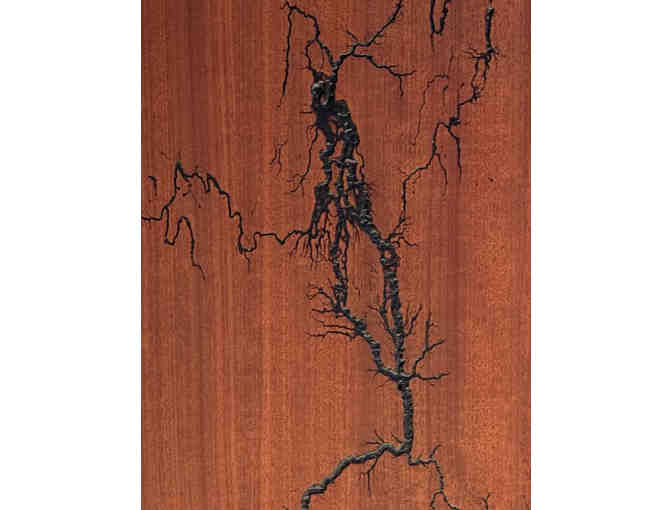 Lustrous Makore Wood Art Panel