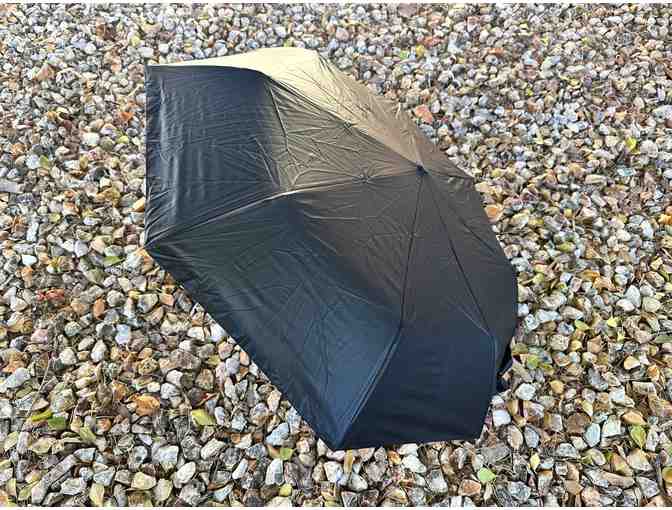 Secret Labyrinth | Umbrella