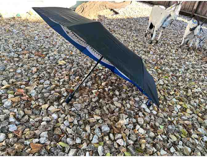 Secret Labyrinth | Umbrella