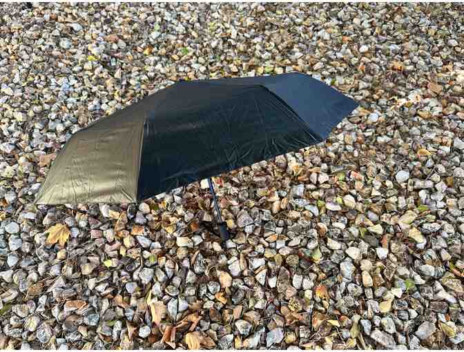 Secret Labyrinth | Umbrella