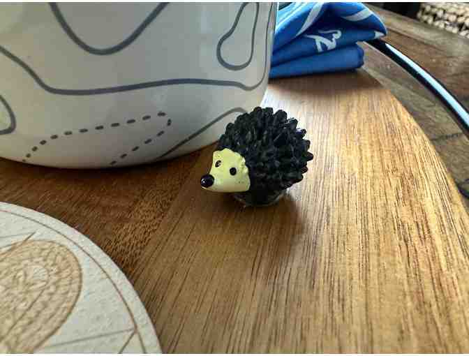 The Wilderness Wanderer's Retreat