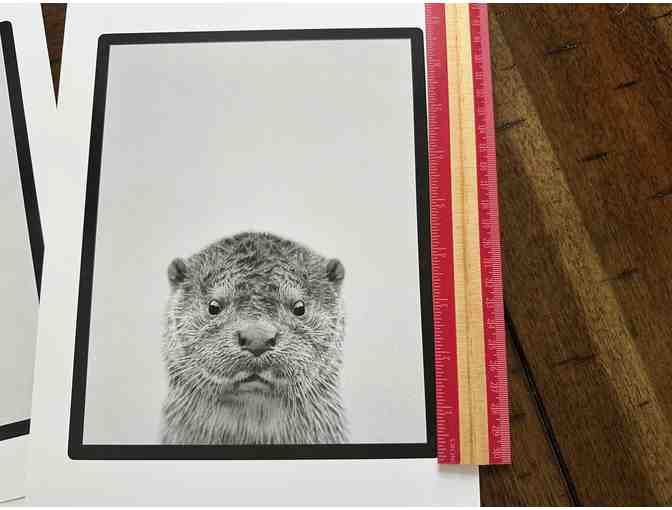 Five of the Forest's Cutest Residents