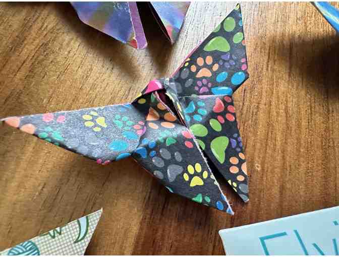 A Flying Wish Package| Butterflies