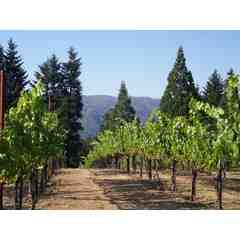 Silver Mountain Vineyards