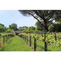 Coastal Range Vineyards