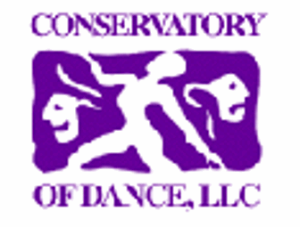 A Week of Princess Dance Camp!