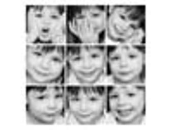 Picture This...Family Portrait Session!