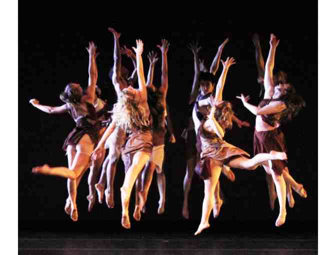 THE JOYCE THEATER - (2) Tickets to Any Performance Spring/Summer 2019