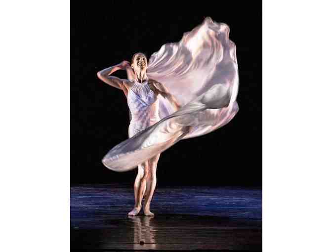 THE JOYCE THEATER - (2) Tickets to Any Performance Spring/Summer 2019