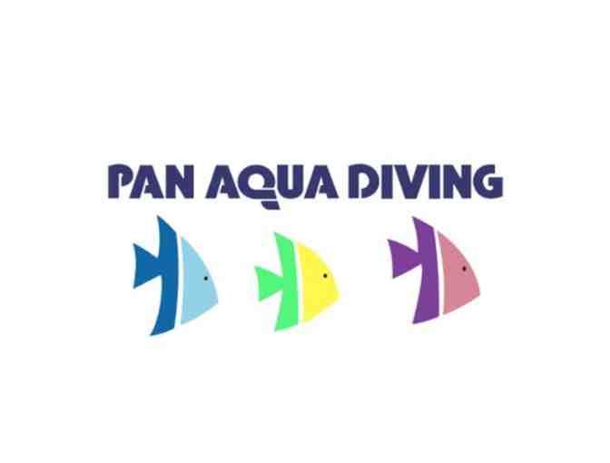 Discover Scuba Class for (2) in NYC at PAN AQUA DIVING