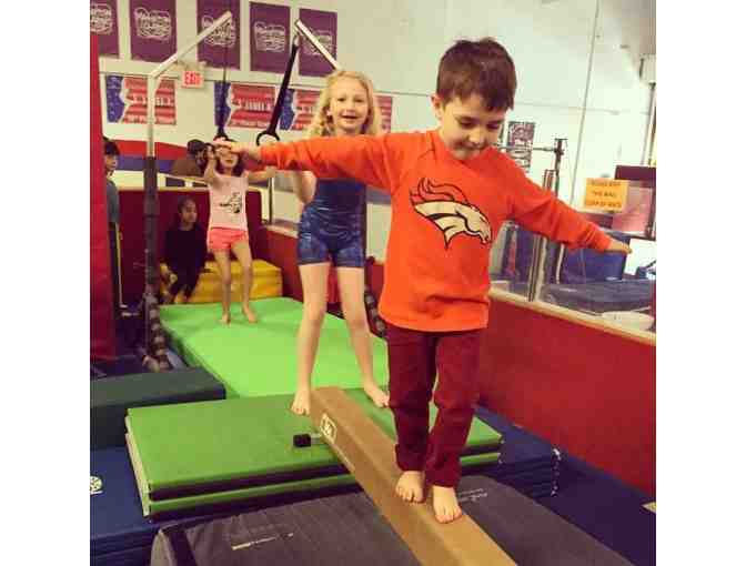 NYC ELITE GYMNASTICS - (1) Week of Half-Day Summer Camp 2019